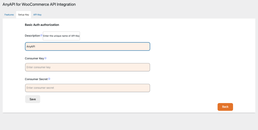 wordpress plugin anyapi setup basic auth key