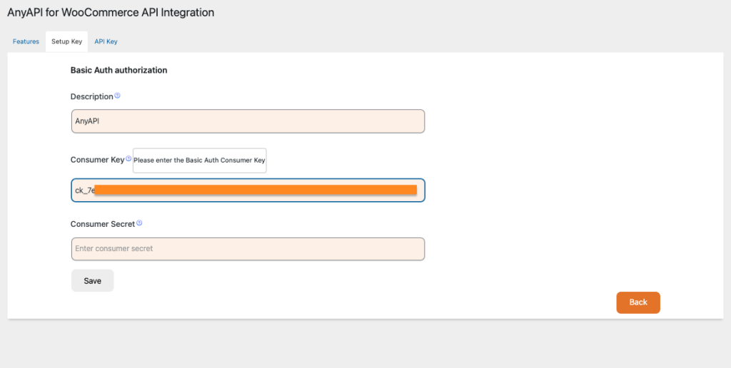 wordpress plugin anyapi setup basic auth key