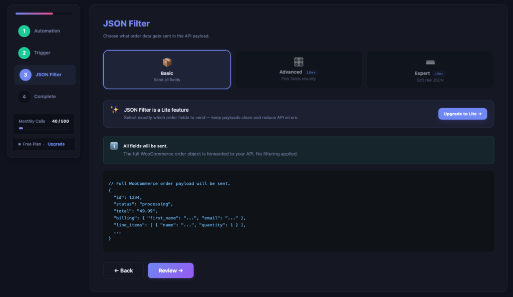 Basic mode with fields selected and JSON preview visible
